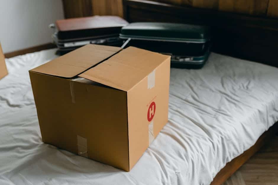 How to Prepare for a Move in Boston: Insights from Professional Movers